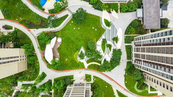 親臨這波重慶精品大區 比火鍋更誘人的園林綠化工程