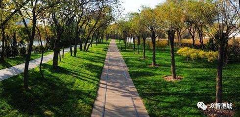 信用納為重要指標(biāo)！江陰出臺(tái)新的園林綠化工程招投標(biāo)管理實(shí)施細(xì)則