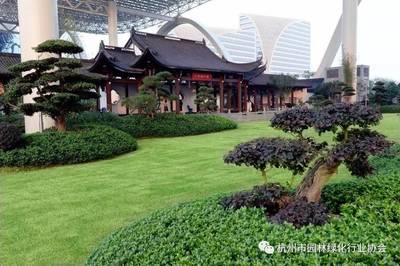 綠意云端，國(guó)博新境 杭州國(guó)際博覽中心屋面園林綠化工程榮膺金獎(jiǎng)紀(jì)實(shí)