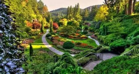 雄安新區(qū)綠化建設(shè) 科學(xué)選種，描繪未來(lái)生態(tài)畫(huà)卷