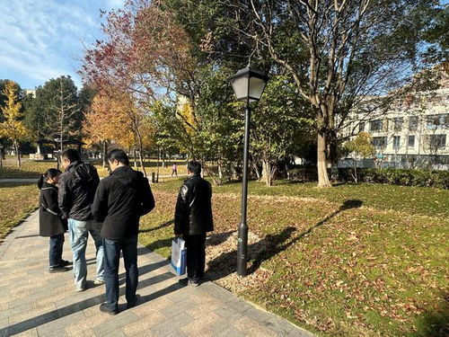 余姚市望湖公園綠化補(bǔ)植工程順利通過(guò)驗(yàn)收，城市生態(tài)景觀再添新綠