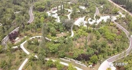 新法嚴(yán)懲彰顯決心，徐州生態(tài)建設(shè)再譜新篇